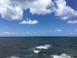 IMG_6046