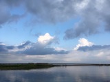 IMG_5537