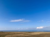 IMG_8112