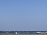 IMG_9688