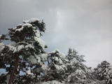 43d4b37c.jpg