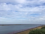 IMG_5611