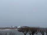 IMG_9781