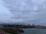 IMG_7890