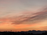 IMG_7938