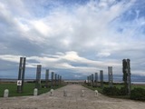 IMG_6494