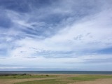IMG_6655
