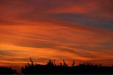 IMG_5560