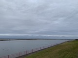 IMG_8360