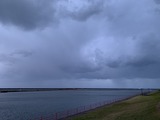 IMG_8229