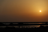 7516789616_IMG_0468