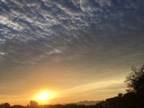 IMG_6897