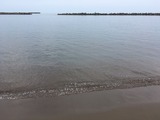 IMG_6642