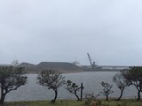 IMG_6919