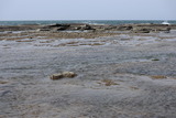 7516821216_IMG_0528
