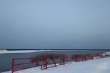 7516775776_IMG_0074