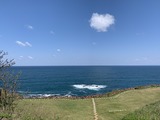 IMG_2010