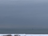 IMG_9798