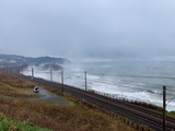 IMG_8454