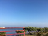 IMG_5591