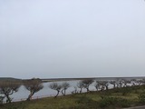 IMG_4461