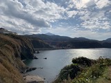 IMG_7528