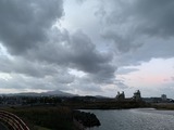 IMG_8230