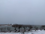 IMG_9779