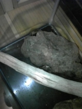 9d3043cc.jpg