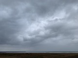 IMG_8341