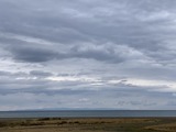 IMG_7906