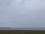 IMG_1520