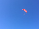 IMG_6622