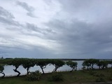 IMG_5289