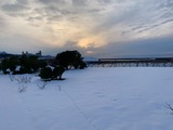 IMG_9971