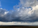 IMG_7915