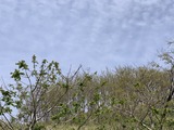 IMG_2113