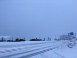 IMG_3768