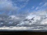IMG_8003