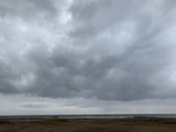 IMG_8342