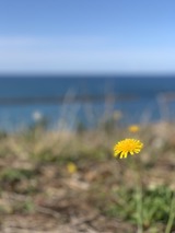 IMG_7881