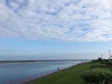 IMG_5353