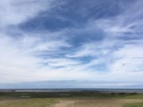IMG_6654
