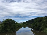IMG_5300