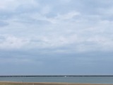IMG_4805