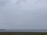 IMG_1519