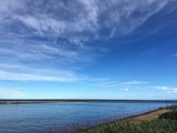 IMG_5634