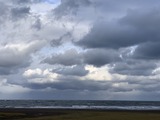 IMG_8004