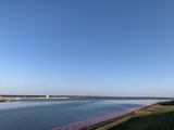 IMG_1302