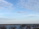 IMG_4433
